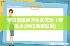 梦见清澈的河水在流淌（梦见水5种征兆要发财)