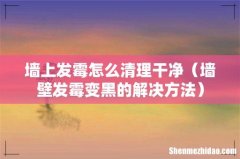墙壁发霉变黑的解决方法 墙上发霉怎么清理干净