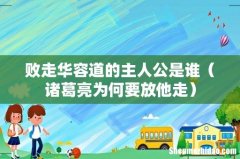 诸葛亮为何要放他走 败走华容道的主人公是谁