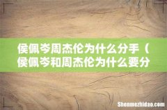 侯佩岑和周杰伦为什么要分手 侯佩岑周杰伦为什么分手