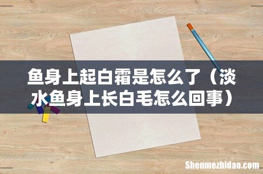淡水鱼身上长白毛怎么回事 鱼身上起白霜是怎么了