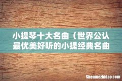 世界公认最优美好听的小提经典名曲 小提琴十大名曲