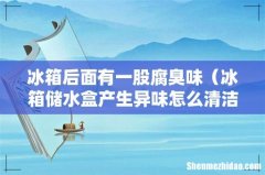 冰箱储水盒产生异味怎么清洁 冰箱后面有一股腐臭味