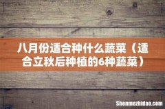 适合立秋后种植的6种蔬菜 八月份适合种什么蔬菜