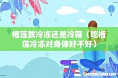 吃榴莲冷冻对身体好不好 榴莲放冷冻还是冷藏
