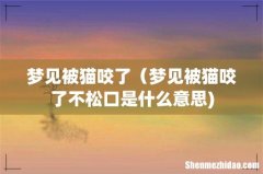 梦见被猫咬了（梦见被猫咬了不松口是什么意思)