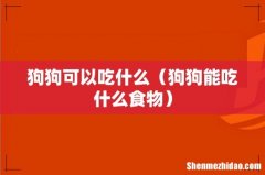 狗狗能吃什么食物 狗狗可以吃什么