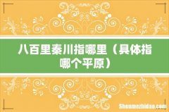 具体指哪个平原 八百里秦川指哪里