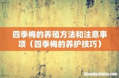 四季梅的养护技巧 四季梅的养殖方法和注意事项
