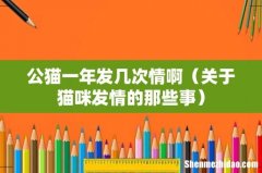 关于猫咪发情的那些事 公猫一年发几次情啊