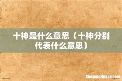 十神分别代表什么意思 十神是什么意思
