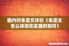 朱亚文怎么样现在发展的如何 圈内对朱亚文评价