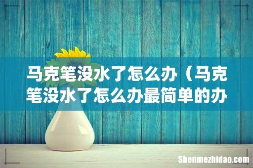 马克笔没水了怎么办(马克笔没水了怎么办最简单的办法)