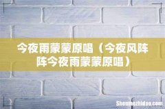 今夜风阵阵今夜雨蒙蒙原唱 今夜雨蒙蒙原唱
