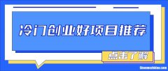 学生创业项目有什么好项目 学生创业项目有什么好项目吗