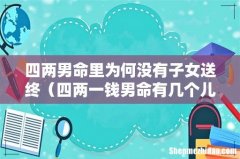 四两一钱男命有几个儿子 四两男命里为何没有子女送终