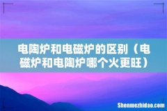电磁炉和电陶炉哪个火更旺 电陶炉和电磁炉的区别