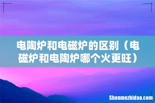 电磁炉和电陶炉哪个火更旺 电陶炉和电磁炉的区别
