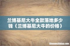 兰博基尼大牛的价格 兰博基尼大牛全款落地多少钱