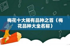 梅花品种大全名称 梅花十大稀有品种之首