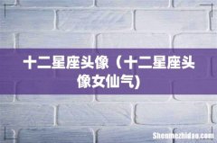 十二星座头像（十二星座头像女仙气)