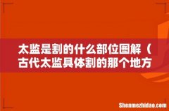 古代太监具体割的那个地方 太监是割的什么部位图解