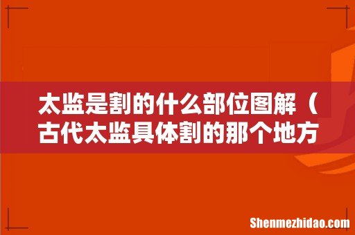 古代太监具体割的那个地方 太监是割的什么部位图解