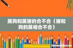 猪和狗的属相合不合 属狗和属猪的合不合