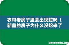 新盖的房子为什么没蛇来了 农村老房子里会出现蛇吗