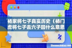 杨门虎将七子去六子回什么意思 杨家将七子真实历史