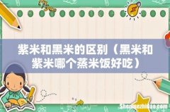 黑米和紫米哪个蒸米饭好吃 紫米和黑米的区别