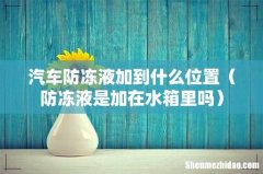 防冻液是加在水箱里吗 汽车防冻液加到什么位置