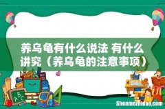 养乌龟的注意事项 养乌龟有什么说法 有什么讲究