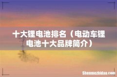 电动车锂电池十大品牌简介 十大锂电池排名