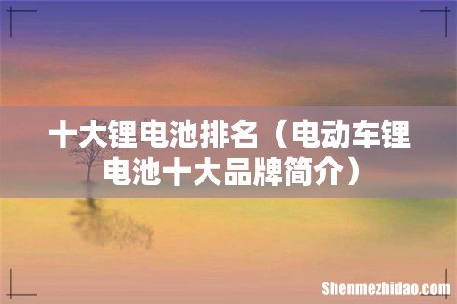电动车锂电池十大品牌简介 十大锂电池排名
