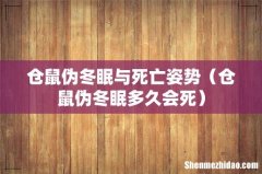 仓鼠伪冬眠多久会死 仓鼠伪冬眠与死亡姿势