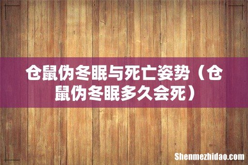 仓鼠伪冬眠多久会死 仓鼠伪冬眠与死亡姿势