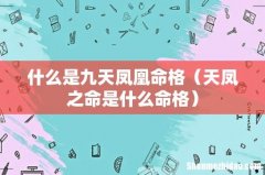 天凤之命是什么命格 什么是九天凤凰命格