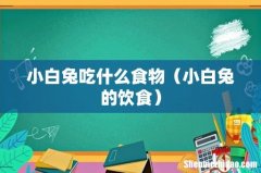 小白兔的饮食 小白兔吃什么食物