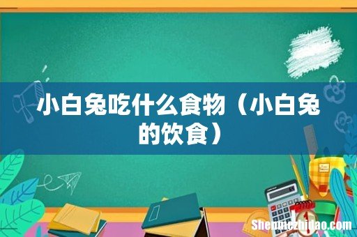 小白兔的饮食 小白兔吃什么食物