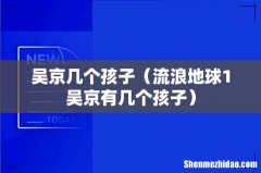 流浪地球1吴京有几个孩子 吴京几个孩子