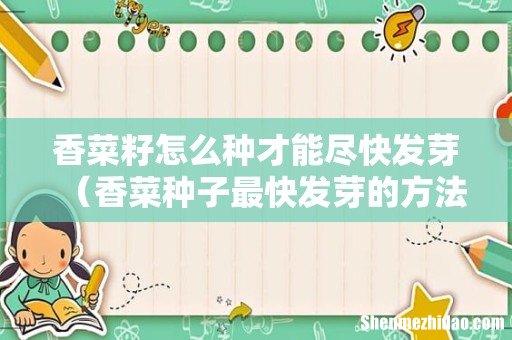 香菜种子最快发芽的方法 香菜籽怎么种才能尽快发芽