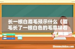 眉毛长了一根白色的毛意味着什么 长一根白眉毛预示什么