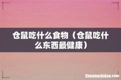 仓鼠吃什么东西最健康 仓鼠吃什么食物