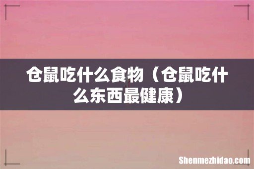 仓鼠吃什么东西最健康 仓鼠吃什么食物