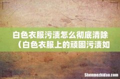 白色衣服上的顽固污渍如何清洗 白色衣服污渍怎么彻底清除