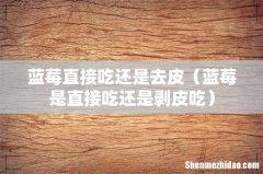 蓝莓是直接吃还是剥皮吃 蓝莓直接吃还是去皮