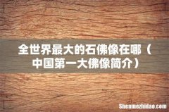 中国第一大佛像简介 全世界最大的石佛像在哪
