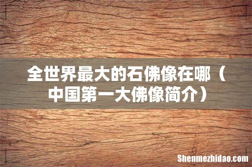 中国第一大佛像简介 全世界最大的石佛像在哪