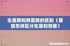 苗族怎样区分生苗和熟苗 生苗族和熟苗族的区别
